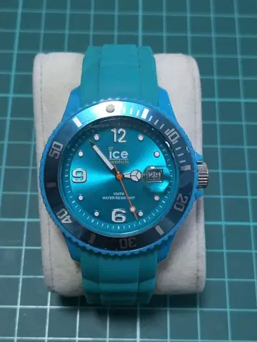 Ice Watch 파랑 10 ATM 방수 손목시계