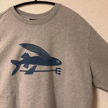 patagonia 트레이닝복