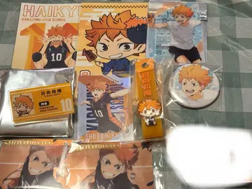하이큐!! 히나타 쇼요 굿즈 세트