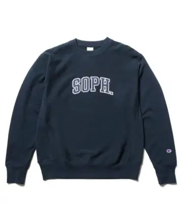 Champion REVERSE WEAVE CREWNECK SWEAT