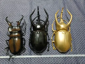 곤충 MEGA 피규어