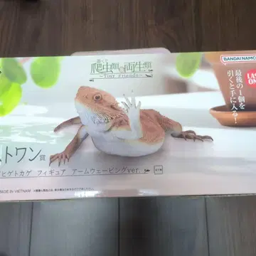 제일복권 파충류&양서류 아르마딜로왕도마뱀 라스트원