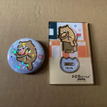 오분구 새끼 고양이 유치원