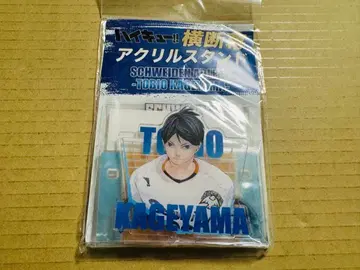 미개봉 하이큐 전 가로막 아크릴 스탠드 카게야마 토비오 아들러즈?