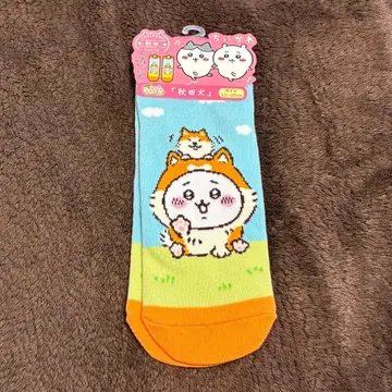 치이카와 양말 아키타견