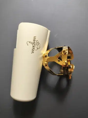 야나기사와 리가처 야니식스