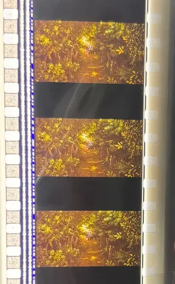 11.92.센과 치히로의 행방불명 미타카의 숲 지브리 미술관 필름 북마커