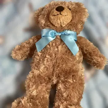 브라운 곰 봉제 인형 본체