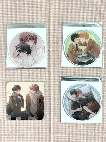 미카미 시노 선생님 피트스포룸 코스터