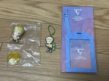 SEVENTEEN HOSHI 피규어 키링 세트