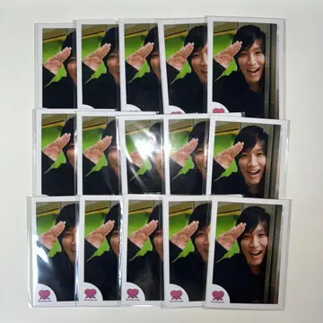 Snow Man 와타나베 쇼타 미니 사진 세트 15개