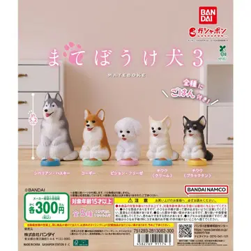 마테보케 강아지 3종 전 5종 세트