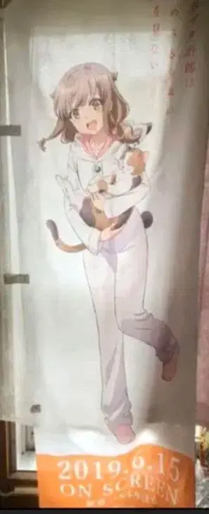 청춘 돼지 야로우 깃발 아즈사가와 카에데 아오부타 당선품