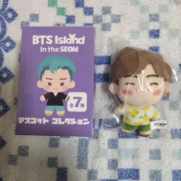 BTS 인 더 썸 ( v ) 덤 포함