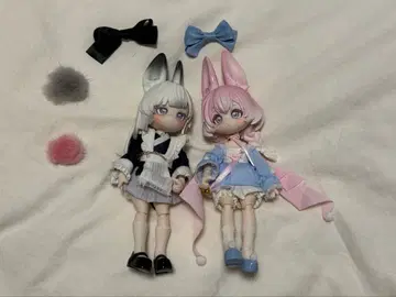 월비행 시간 청하 행운 세트