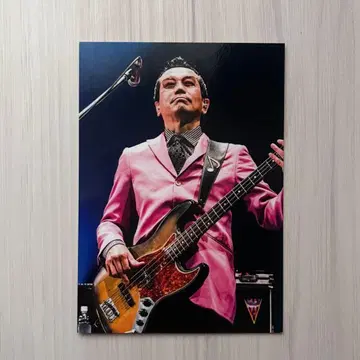 스카파라 카와카미 츠요시 트레이딩 카드