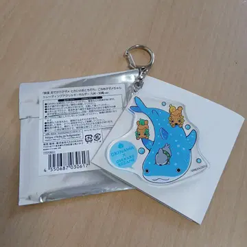 영화 외출 아기상어 트레이딩 아크릴 키링 규슈 오키나와 ver 오키나와현