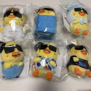 2PM 우영 백참 6개 세트