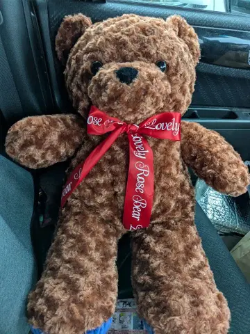 브라운 리본 포함 곰 봉제 인형