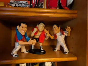 프로레슬링 피규어 세트 14개