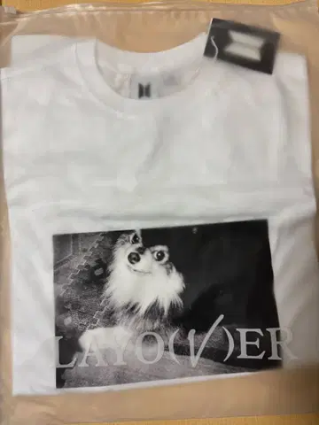 뷔 V LAYOVER 굿즈 티셔츠