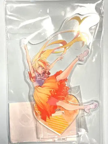 좀비랜드 사가 아크릴 스탠드 니카이도 사키 사가 한정판