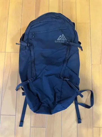 GREGORY 레이븐 12