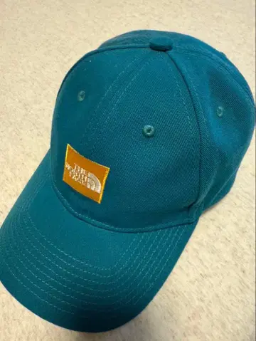 THE NORTH FACE 터콰이즈 캡 FREE