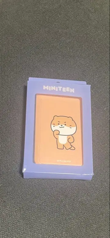 SEVENTEEN miniteen 디노 네임택