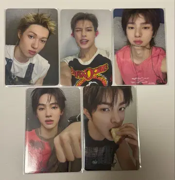 cortis weverse 라키도로 트레이딩 카드 5장 세트