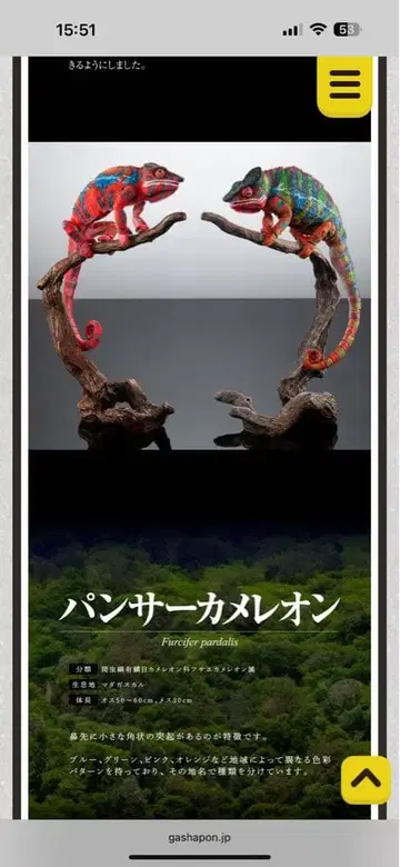 생물대도감 프리미엄 팬서 카멜레온 그린 레드 세트 단종품