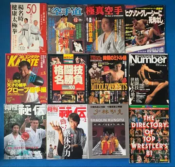 [ 절판 ] 프로레슬링 격투기 무술 12권 세트