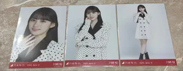 카와사키 벚꽃 도트 컴프