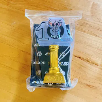 10th Anniversary Award WEST 응원봉
