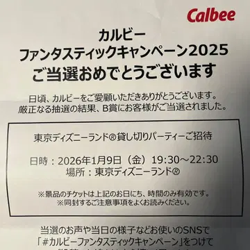 디즈니랜드 대관 2명