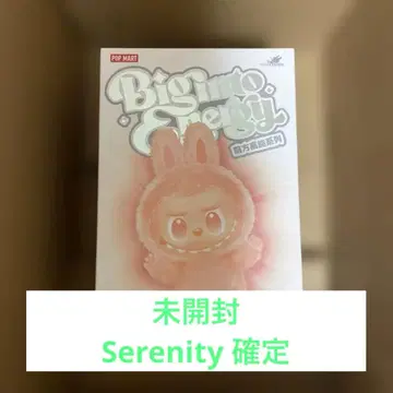 [ 정품 ] 러브비그 Big into Energy 에너지 SERENITY