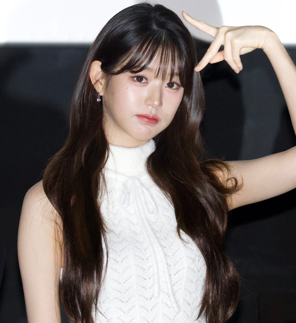 241102 Ive 440 sheets girl group idol female idol data