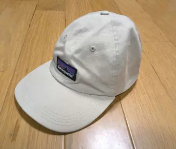patagonia 베이지 캡