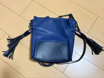 dazzlin 네이비 프린지 백