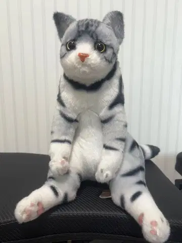 고양이형 봉제 인형 그레이와 화이트 스트라이프