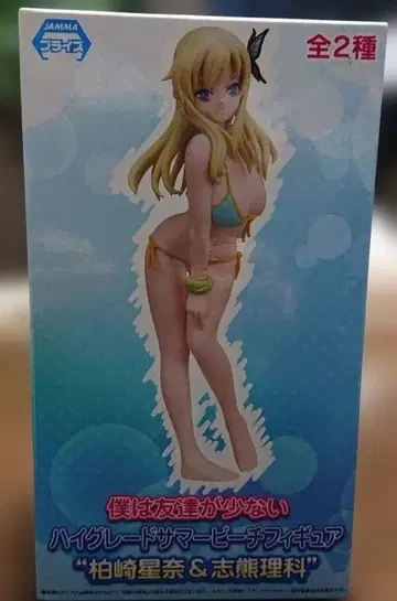 나는 친구가 적다 하이그레이드 썸머 비치 피규어