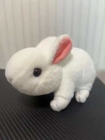 토끼 봉제 인형 화이트