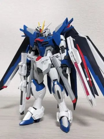 HG 라이징 프리덤