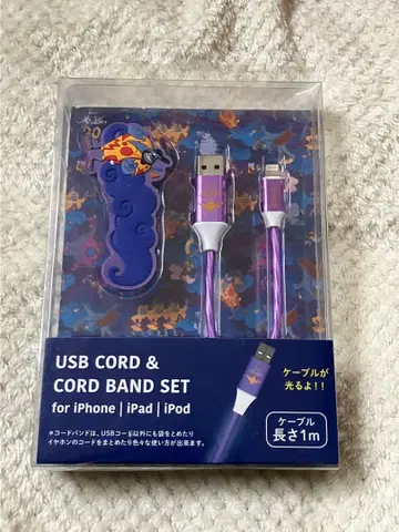 디즈니 알라딘 USB 코드