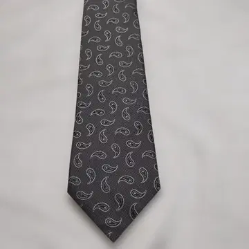 Ermenegildo Zegna 페이즐리 넥타이