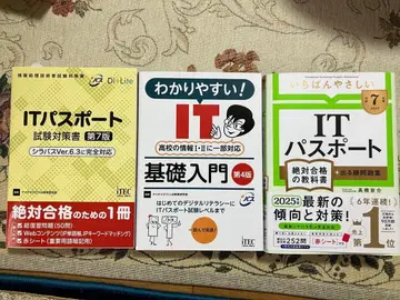 IT 여권 텍스트 세트