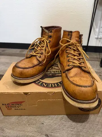 박스 포함 Red Wing Irish Setter 레어 개 각인