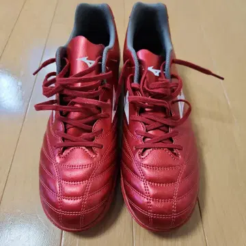 Mizuno 모나르시다 네오 3