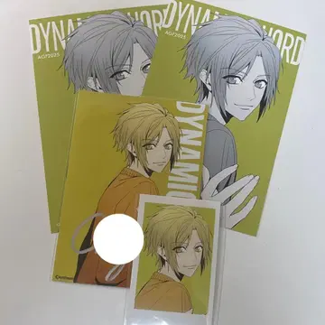 DYNAMIC CHORD 치야 사인