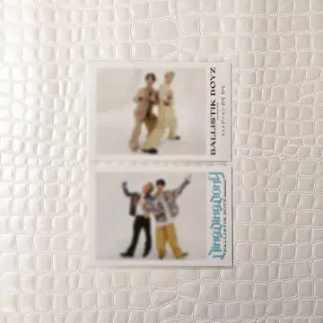 BALLISTIK BOYZ 페어 사진 (히다카 류타 x 카이누마 류세이)